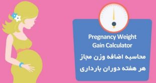 Pregnancy Weight Gain Calculator