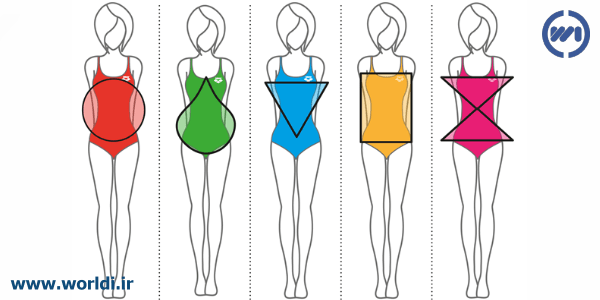 انواع شکل بدن خانم ها