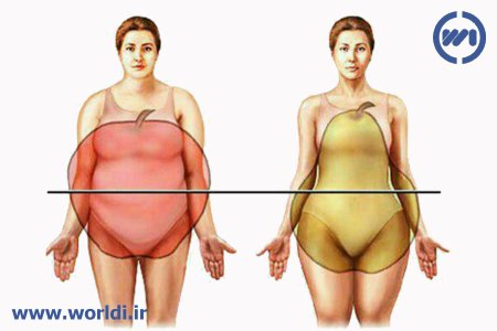 نسبت دور کمر به باسن (WHR)